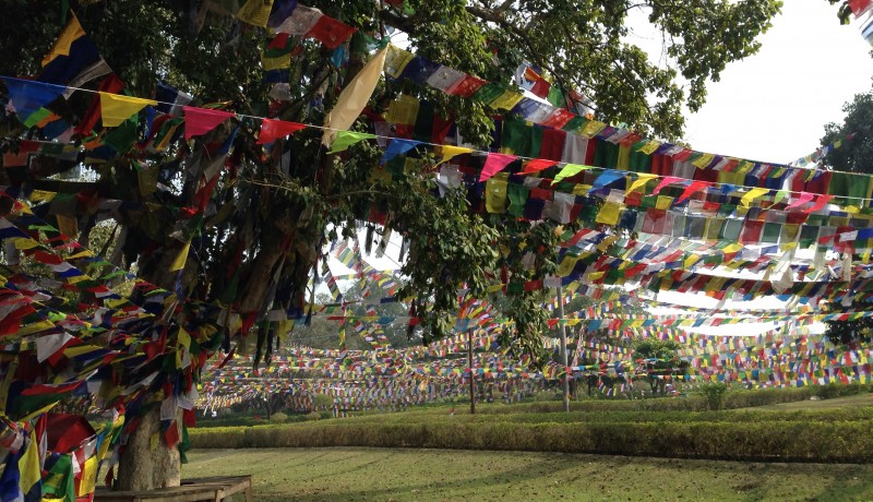 ネパール仏教文化ツアー