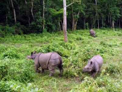 バルディア国立公園