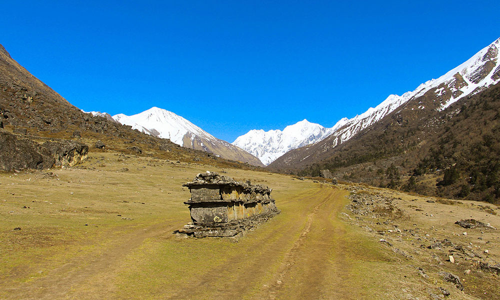 langtang trek in spring