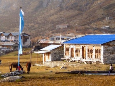 Best Time to Trek in Langtang