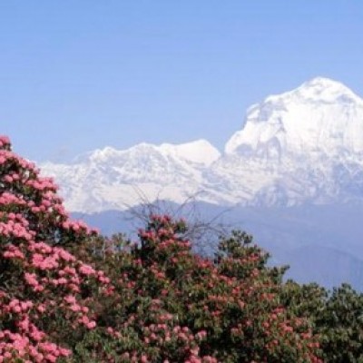 Dhaulagiri Trekking