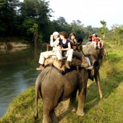 Jungle Safari In Nepal