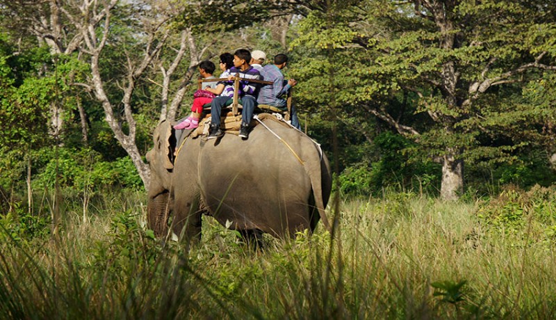 Bardia National Park