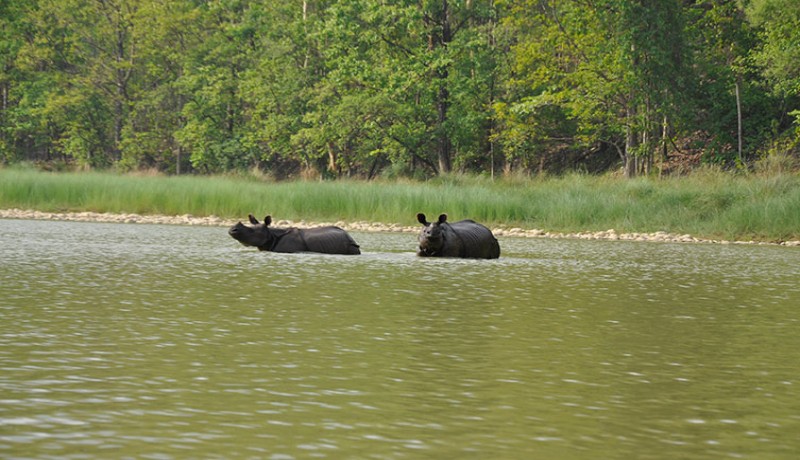 Bardia National Park