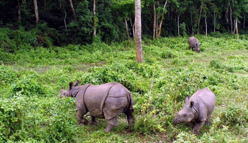 Bardia National Park