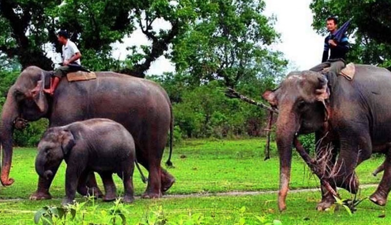 Chitwan National Park Safari Tour - 3 Days