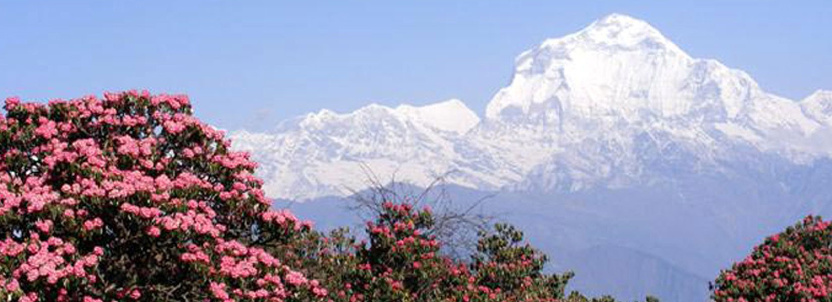 Dhaulagiri Trekking