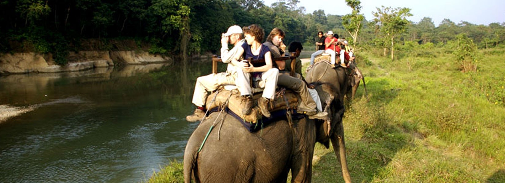 Jungle Safari In Nepal