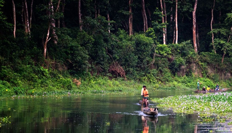 Kathmandu Chitwan Tour - 06 Days