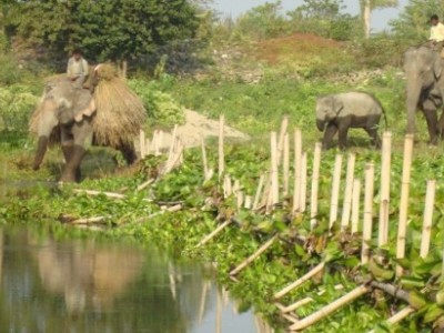 Koshi Tappu Wildlife Reserve