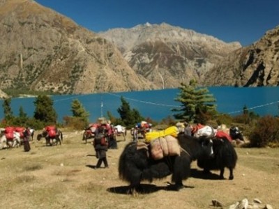 Upper Dolpo Trek